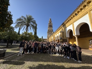 Visita a la Mezquita de Córdoba y el Castillo de Almodóvar del Río